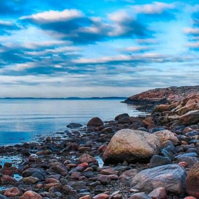 im电竞官方网站